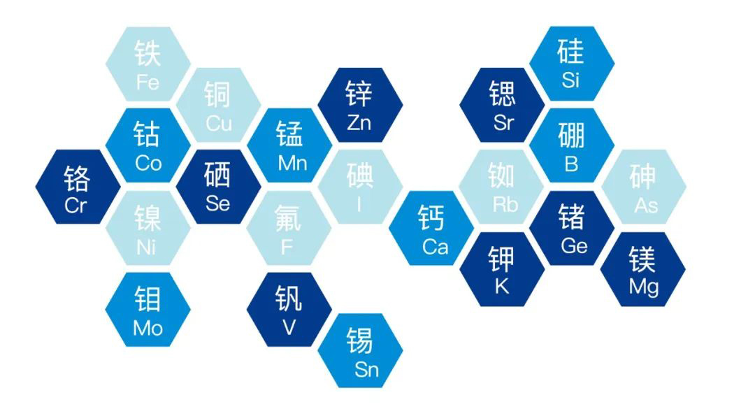 2022.9.16功能农业首次走进杨凌农高会(5).jpg