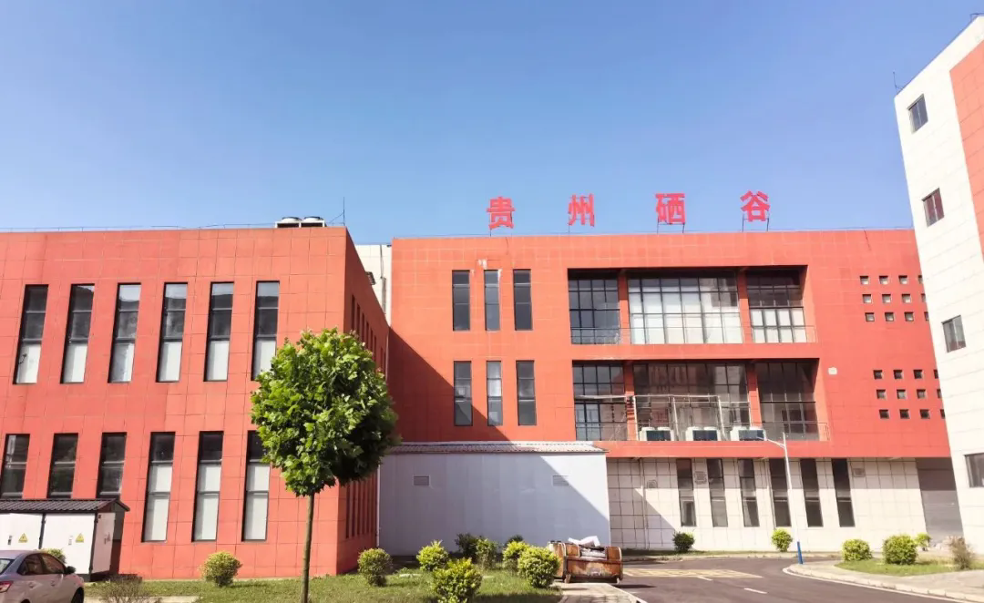 待删01 待删01