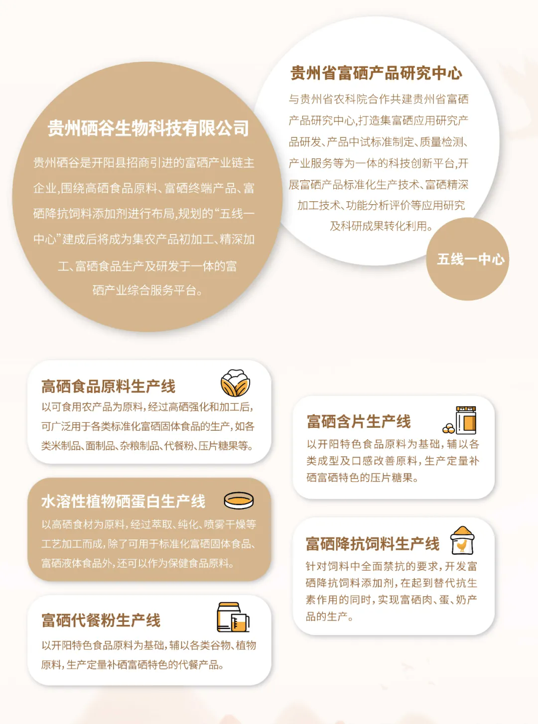 待删02 待删02