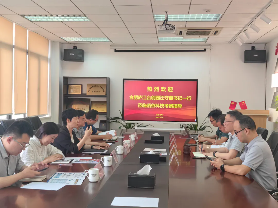 安徽省庐江台创园党工委书记、管委会主任汪守苗带队考察硒谷科技