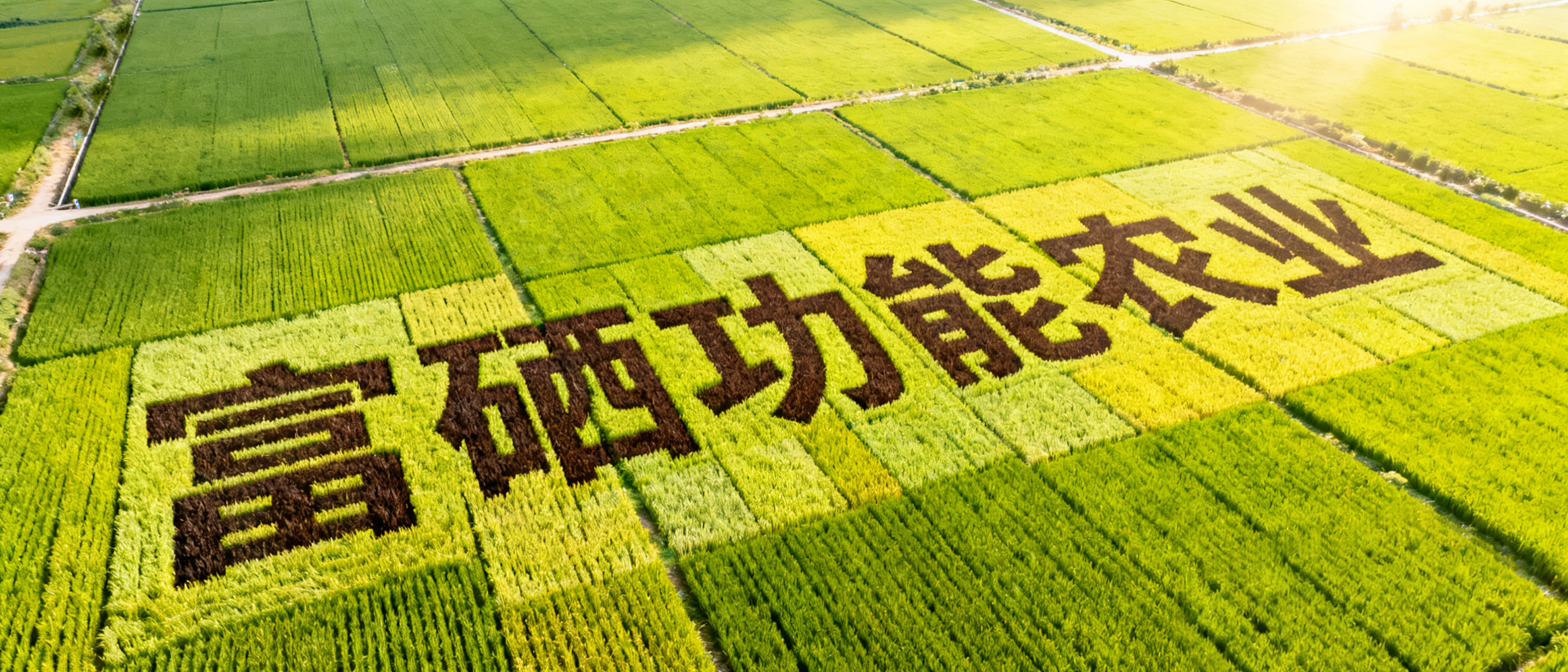 待删2
