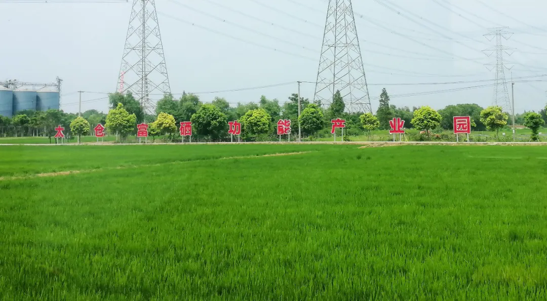 功能农业：解锁农业质量效益提升新路径 ——协会、科技与企业三方圆桌话未来